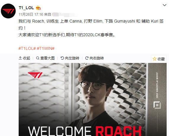 阵容应对不 阵容应对不