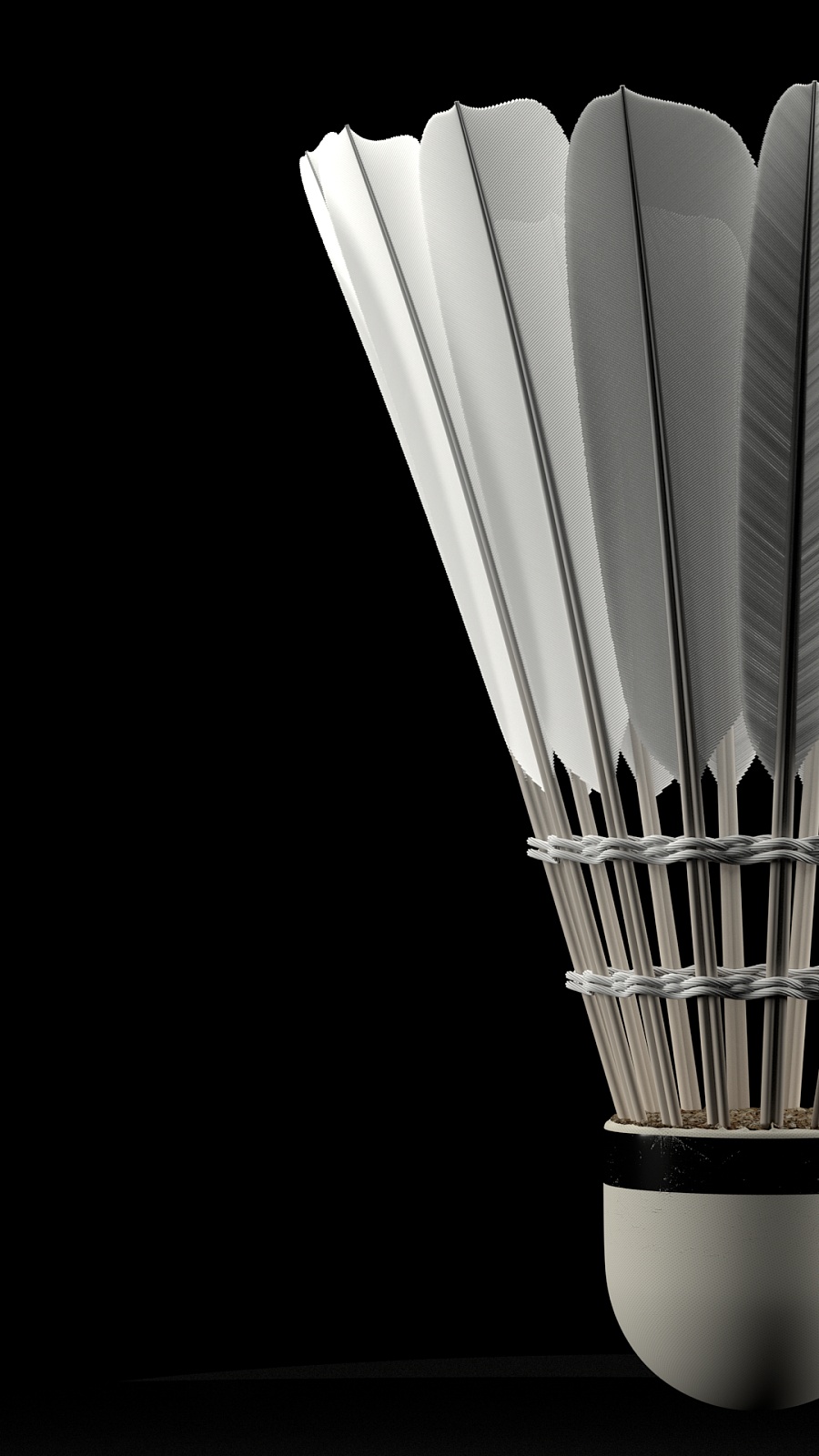 他的职业生 他的职业生